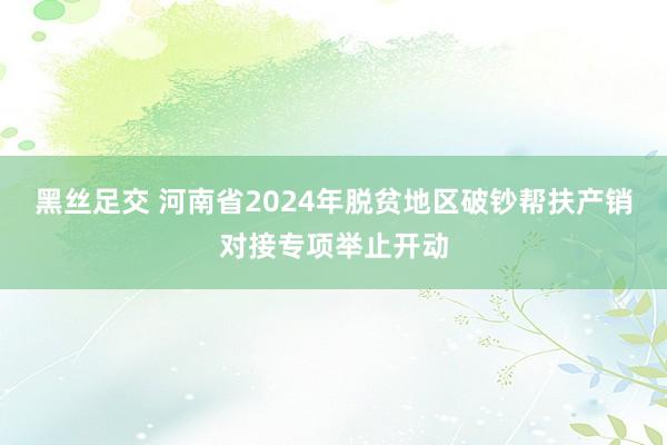 黑丝足交 河南省2024年脱贫地区破钞帮扶产销对接专项举止开动