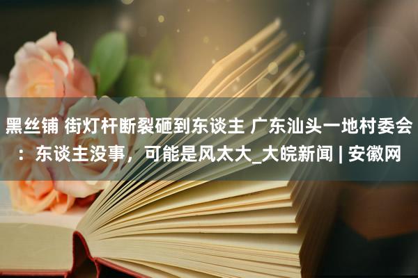 黑丝铺 街灯杆断裂砸到东谈主 广东汕头一地村委会：东谈主没事，可能是风太大_大皖新闻 | 安徽网