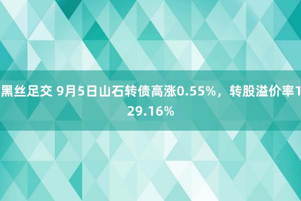 黑丝足交 9月5日山石转债高涨0.55%，转股溢价率129.16%