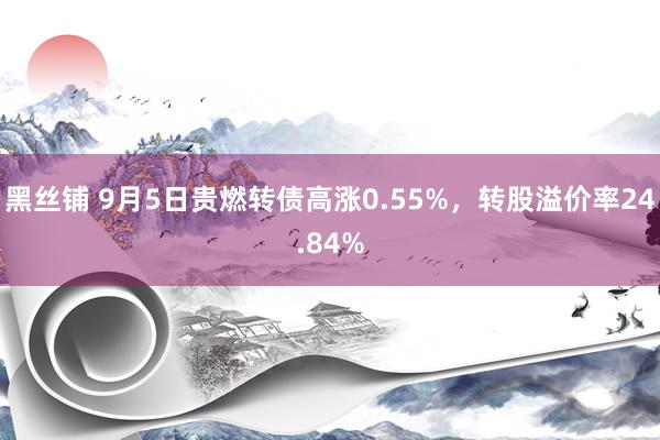 黑丝铺 9月5日贵燃转债高涨0.55%，转股溢价率24.84%