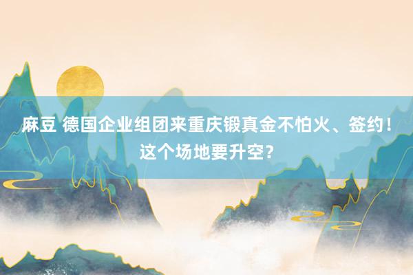 麻豆 德国企业组团来重庆锻真金不怕火、签约！这个场地要升空？