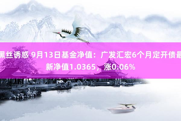 黑丝诱惑 9月13日基金净值：广发汇宏6个月定开债最新净值1.0365，涨0.06%