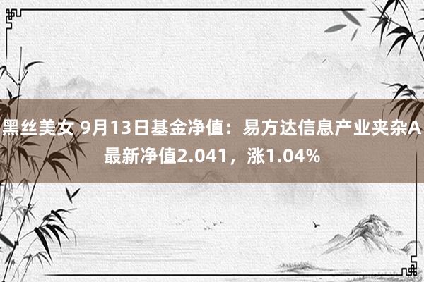 黑丝美女 9月13日基金净值：易方达信息产业夹杂A最新净值2.041，涨1.04%