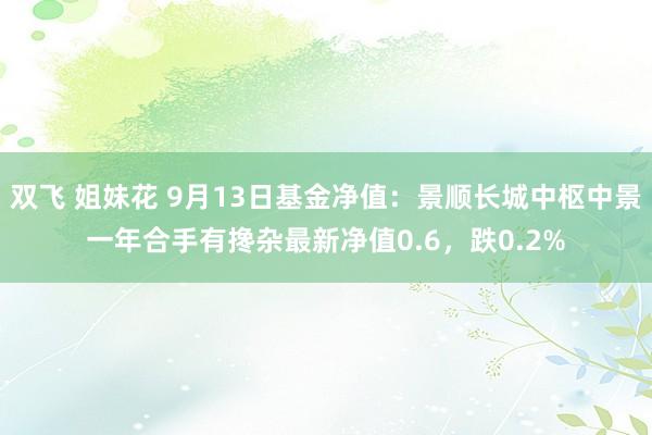 双飞 姐妹花 9月13日基金净值：景顺长城中枢中景一年合手有搀杂最新净值0.6，跌0.2%