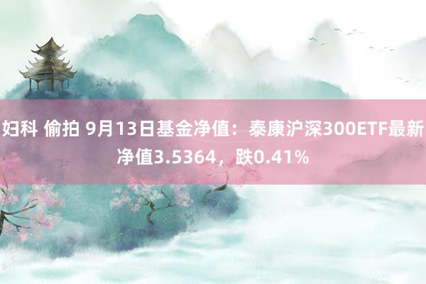 妇科 偷拍 9月13日基金净值：泰康沪深300ETF最新净值3.5364，跌0.41%