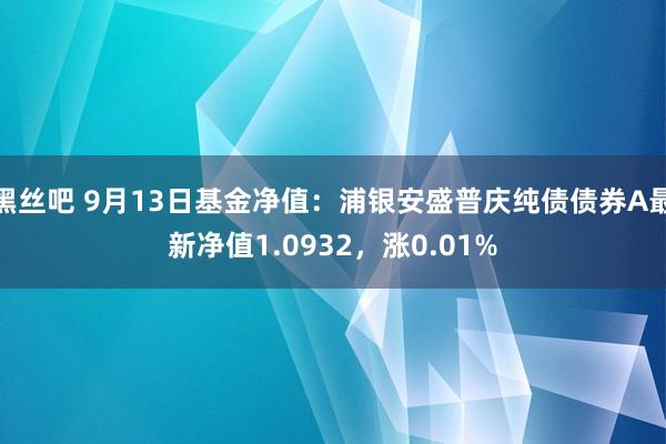 黑丝吧 9月13日基金净值：浦银安盛普庆纯债债券A最新净值1.0932，涨0.01%