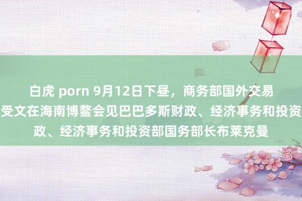 白虎 porn 9月12日下昼，商务部国外交易讨论代表兼副部长王受文在海南博鳌会见巴巴多斯财政、经济