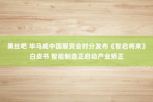 黑丝吧 毕马威中国服贸会时分发布《智启将来》白皮书 智能制造正启动产业矫正