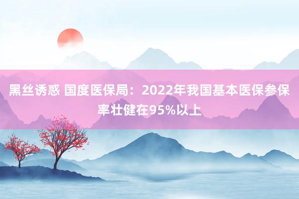 黑丝诱惑 国度医保局：2022年我国基本医保参保率壮健在95%以上