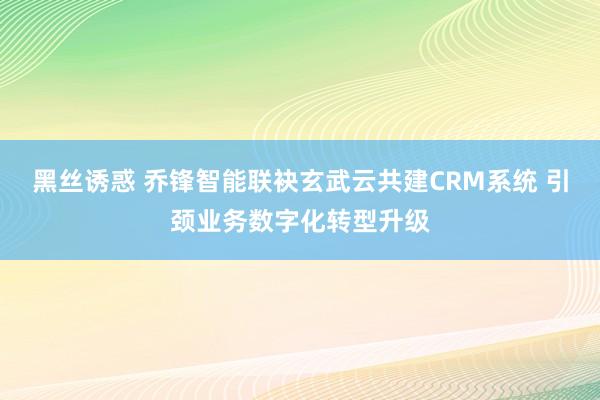 黑丝诱惑 乔锋智能联袂玄武云共建CRM系统 引颈业务数字化转型升级