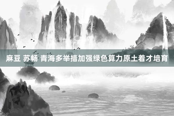 麻豆 苏畅 青海多举措加强绿色算力原土着才培育