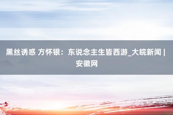 黑丝诱惑 方怀银：东说念主生皆西游_大皖新闻 | 安徽网