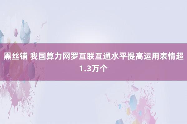 黑丝铺 我国算力网罗互联互通水平提高运用表情超1.3万个