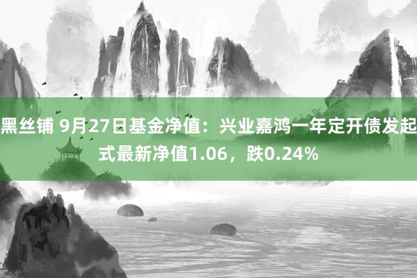 黑丝铺 9月27日基金净值：兴业嘉鸿一年定开债发起式最新净值1.06，跌0.24%