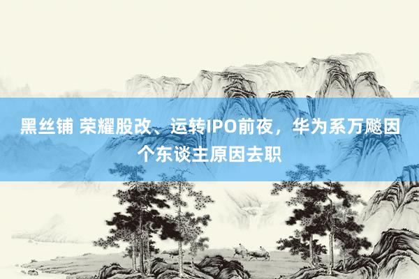 黑丝铺 荣耀股改、运转IPO前夜，华为系万飚因个东谈主原因去职