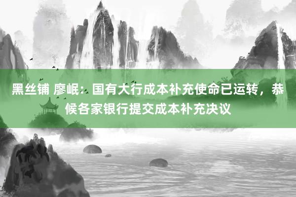 黑丝铺 廖岷：国有大行成本补充使命已运转，恭候各家银行提交成本补充决议