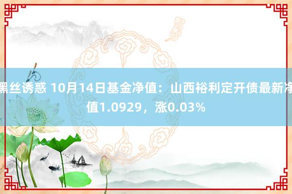 黑丝诱惑 10月14日基金净值：山西裕利定开债最新净值1.0929，涨0.03%