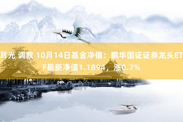 耳光 调教 10月14日基金净值：鹏华国证证券龙头ETF最新净值1.1894，涨0.7%