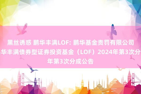 黑丝诱惑 鹏华丰满LOF: 鹏华基金责罚有限公司对于鹏华丰满债券型证券投资基金（LOF）2024年第