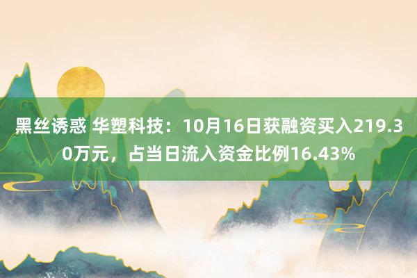 黑丝诱惑 华塑科技：10月16日获融资买入219.30万元，占当日流入资金比例16.43%