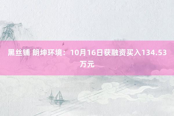 黑丝铺 朗坤环境：10月16日获融资买入134.53万元