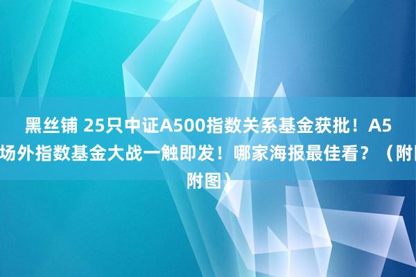 黑丝铺 25只中证A500指数关系基金获批！A500场外指数基金大战一触即发！哪家海报最佳看？（附图