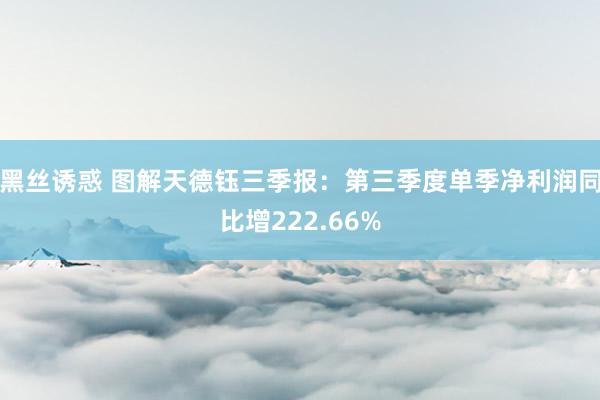 黑丝诱惑 图解天德钰三季报：第三季度单季净利润同比增222.66%