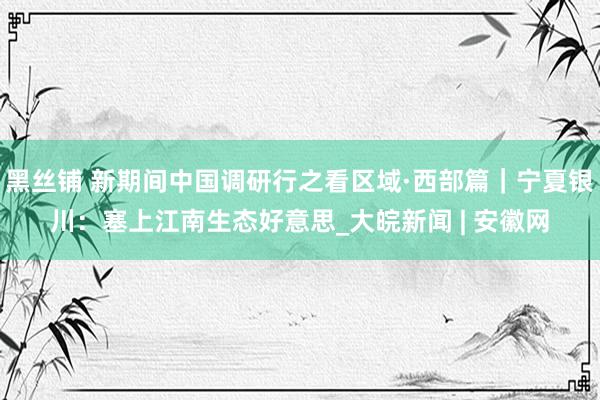 黑丝铺 新期间中国调研行之看区域·西部篇｜宁夏银川：塞上江南生态好意思_大皖新闻 | 安徽网